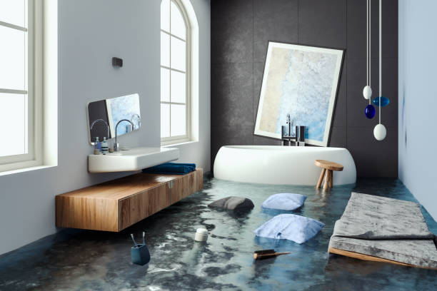 Best Flooded house restoration  in Aquia Harbour, VA