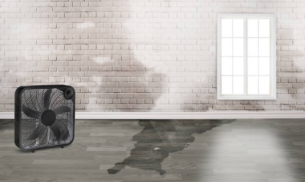 Best Residential water damage restoration  in Aquia Harbour, VA