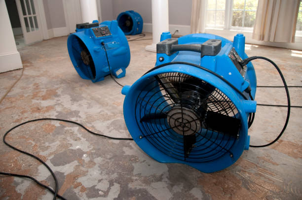 Best Fire Damage Restoration  in Aquia Harbour, VA
