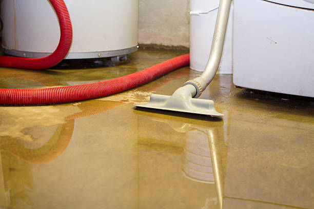 Best Water damage restoration cost  in Aquia Harbour, VA