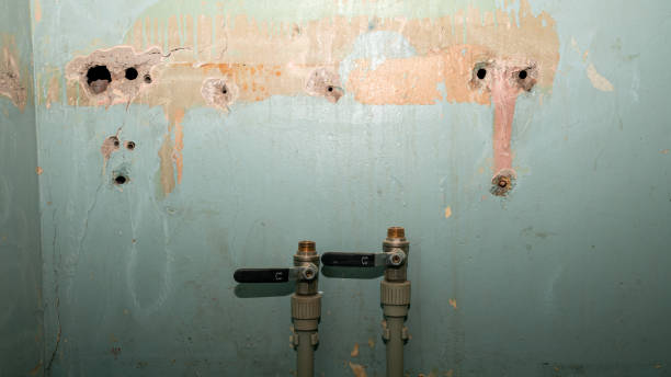 Best Water damage restoration near me  in Aquia Harbour, VA