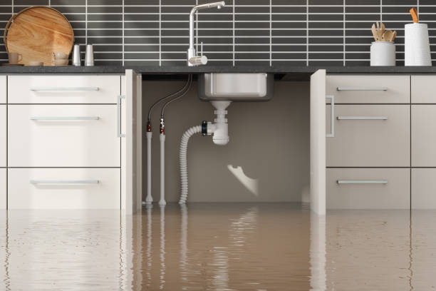 Best Water damage restoration experts  in Aquia Harbour, VA